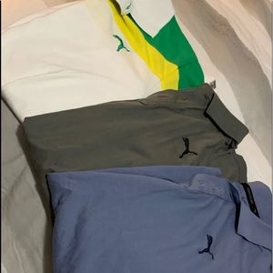 Puma shirts